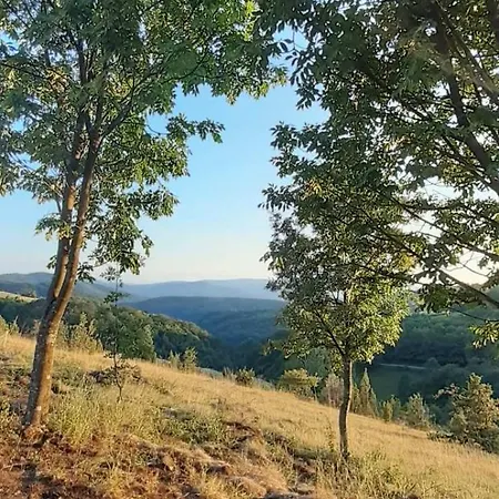 Ferienhaus Goc Suncani Breg