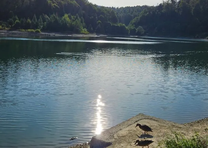 Goc Suncani Breg 펜션 *